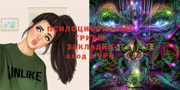 герыч Алзамай