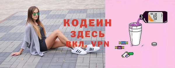 шишки Покачи